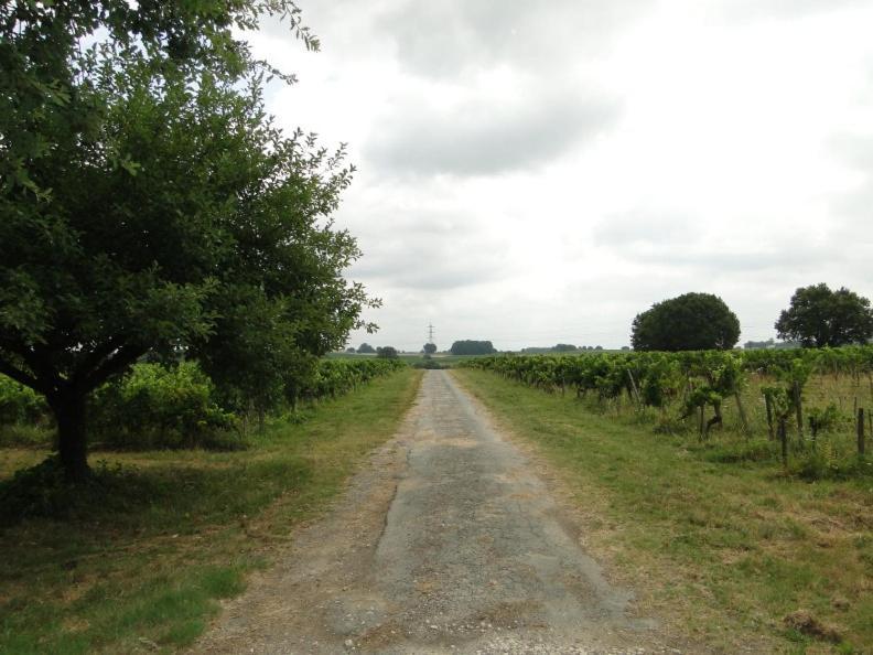Chateau Monichot Organic Vineyard Tauriac  Bagian luar foto